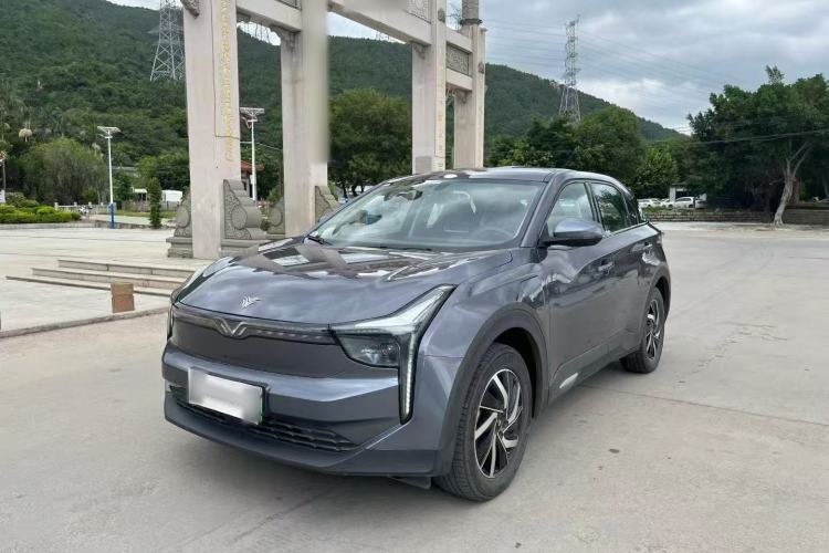 Used NETA U 2021 Pro 400 Cruiser Edition