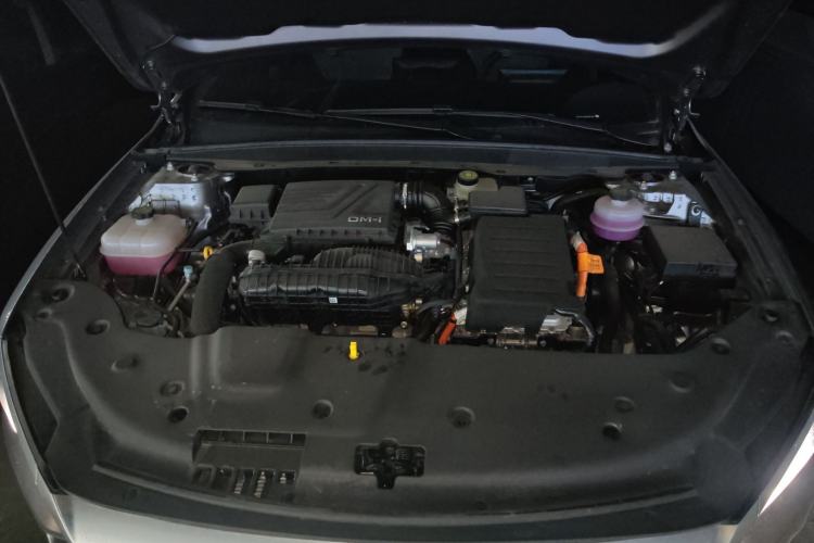 Used BYD Qin PLUS 2024 HONOR Edition DM-i 55KM Leading Model
