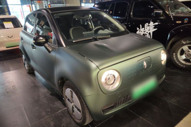 Used ORA Black Cat 2022 Updated Version 301 km Cute Pet Edition Lithium Iron Phosphate