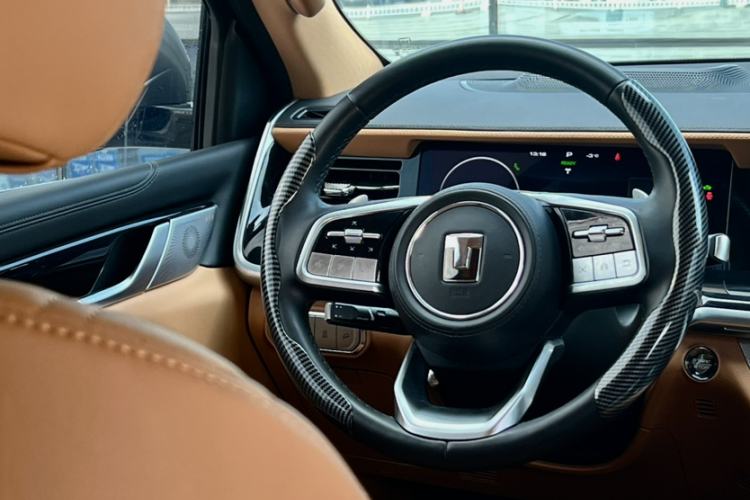 Used Tank 500 New Energy 2024 Hi4-T
