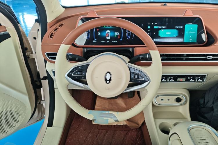 Used ORA Good Cat 2023 401 km Standard Range Luxury Version Lithium Iron Phosphate