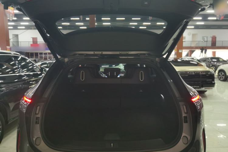 Used  07 2024 Max Extended-Range Edition