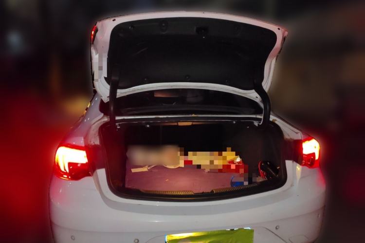 Used Buick Regal 2017 20T Elite Edition
