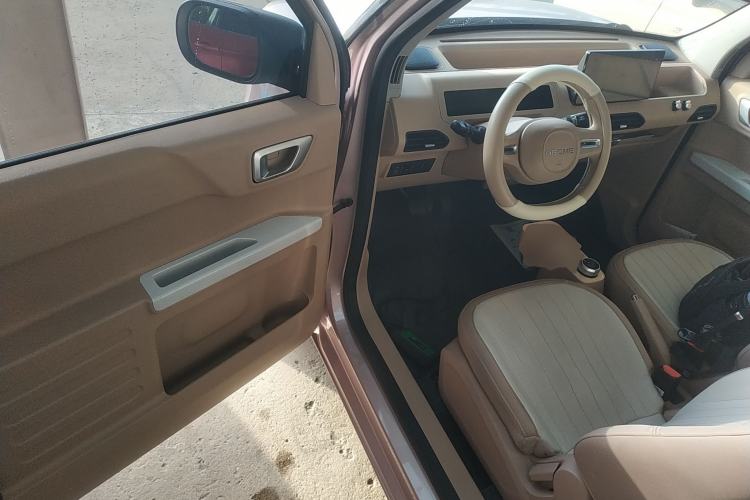 Used  Panda 2023 Panda Mini 200km Dynamic Bear