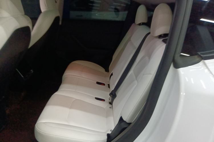 Used Tesla Model Y 2023 Rear-Wheel-Drive Version