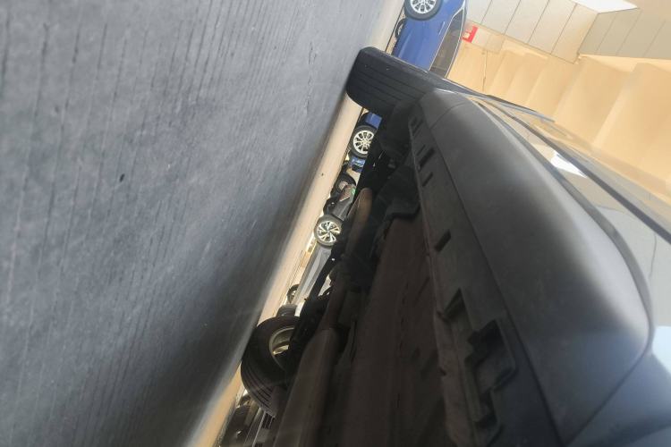 Used  Zhuifeng 2020 Chasing the Waves Edition 1.5T CVT Xingrui Version
