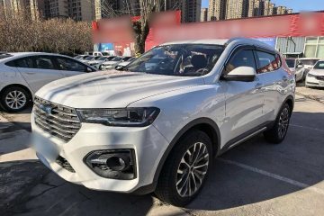 Used Haval H6 2018 Blue Label 2.0T Automatic Luxury Model