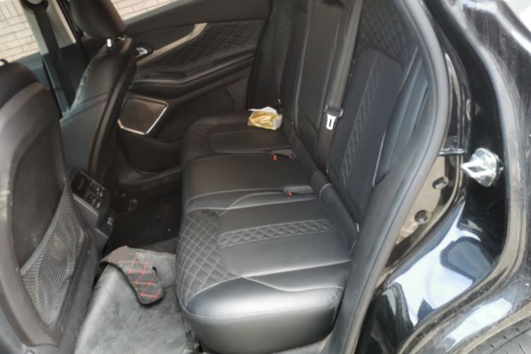 Used  Lingyun 2021 290T Two-Wheel Drive Starry Edition
