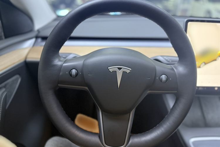 Used Tesla Model Y 2021 Standard Range Rear-Wheel Drive Version
