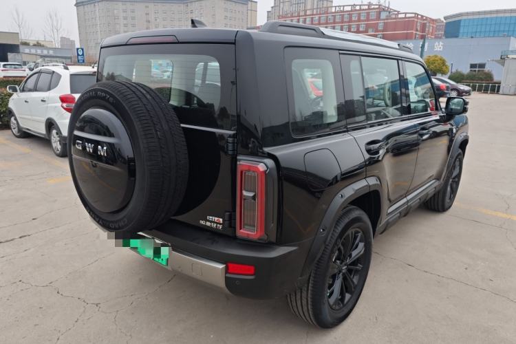 Used Haval Raptor New Energy 
