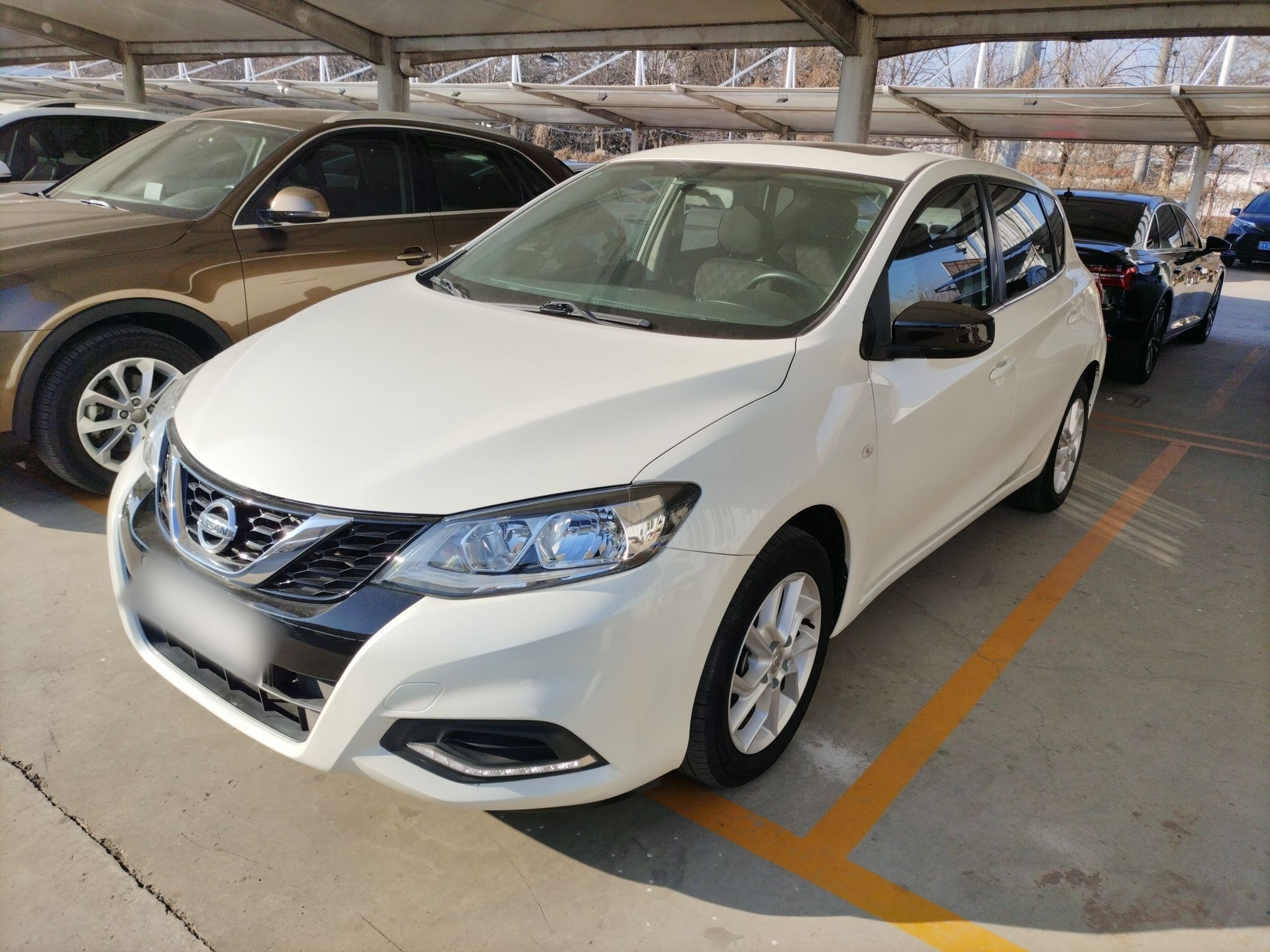 تحت مقدمة السيارة