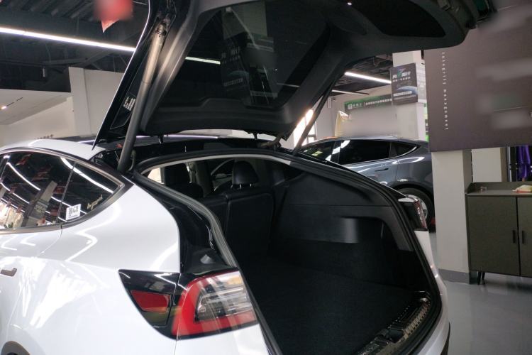 Used Tesla Model Y 2021 Long-Range All-Wheel-Drive Version 3D7
