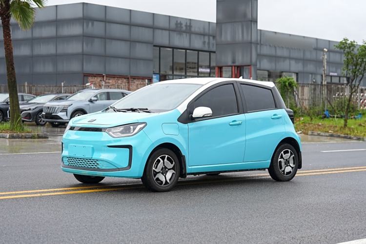 Used SOL E10X 2022 Flower Fairy Style Baby's Breath
