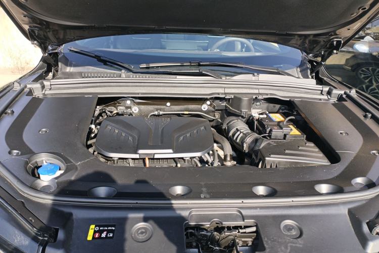 Used Wey Mocha 2021 2.0T Two-Wheel-Drive Premium Edition
