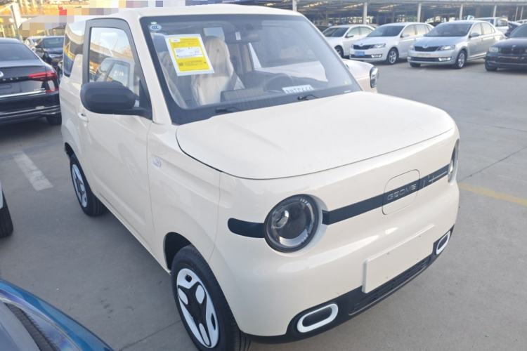 Used  Panda 2025 210 km – Yuanqi Bear
