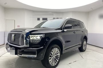 Used Tank 500 New Energy 2023 Hi4-T