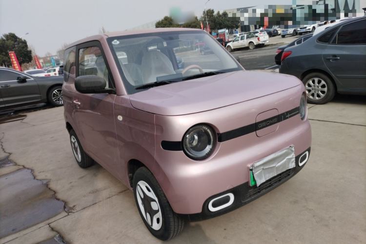 Used  Panda 2024 Panda Mini 200km Endurance Bear