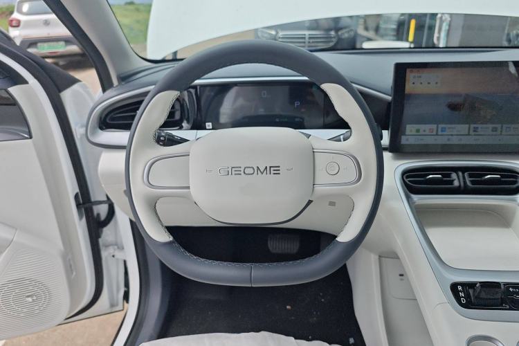 Used  Geome 2025 310km Youth Edition
