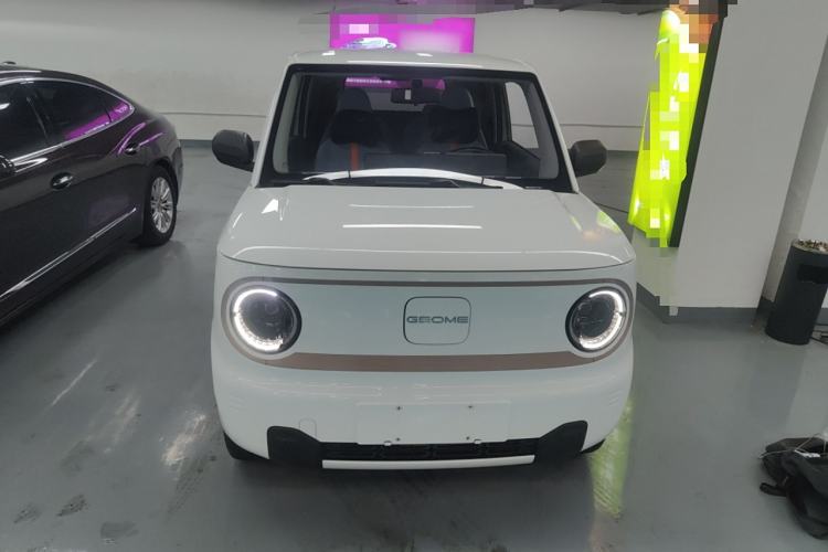 Used  Panda 2023 Panda Mini 200km Endurance Bear
