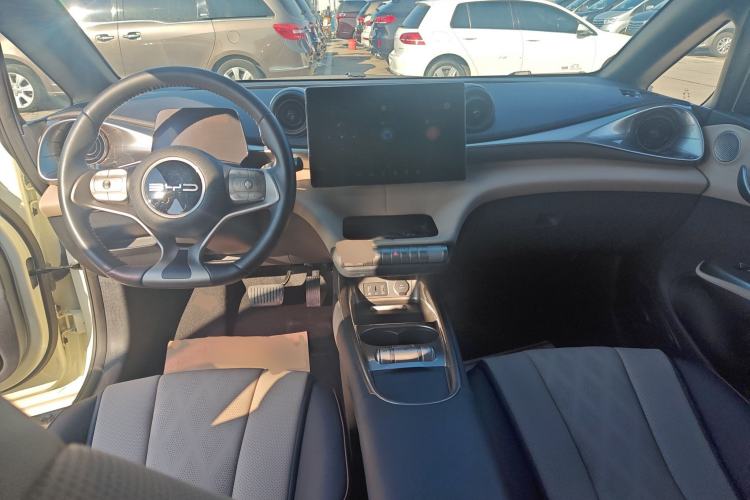 Used BYD Dolphin 2023 420 km Free Version
