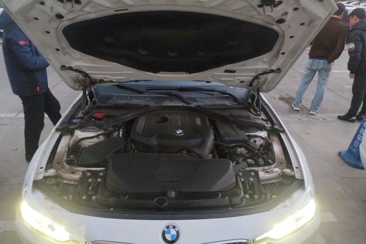 Used BMW 3 Series 2019 320Li Fashion Model
