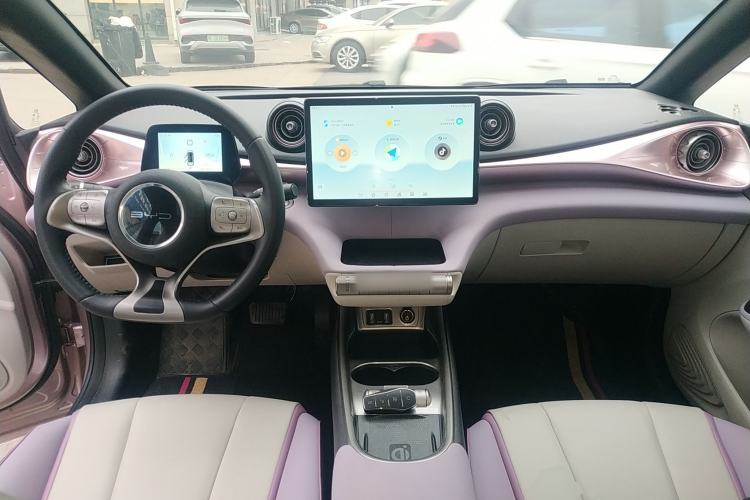 Used BYD Dolphin 2021 405 km Free Version