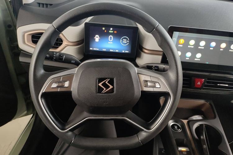 Used SOL E10X 2022 Flower Fairy Design Four-Leaf Clover
