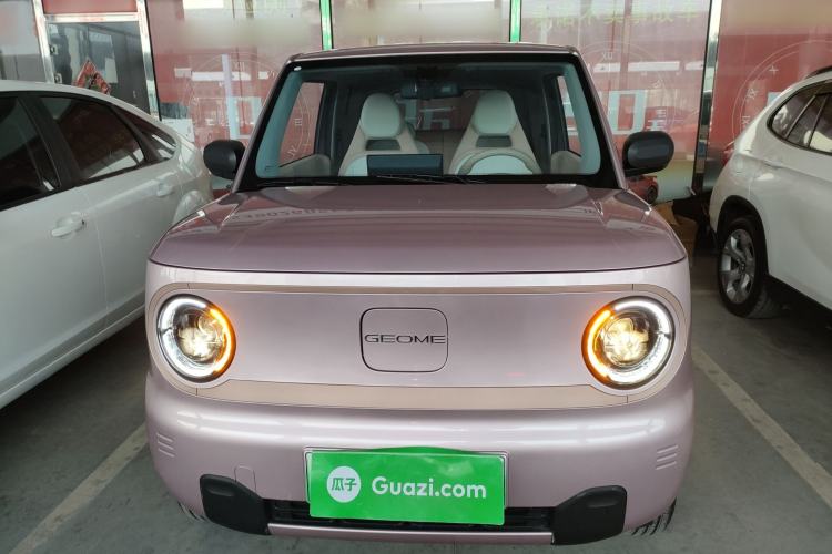 Used  Panda 2024 Panda Mini 200km Longteng PRO Edition