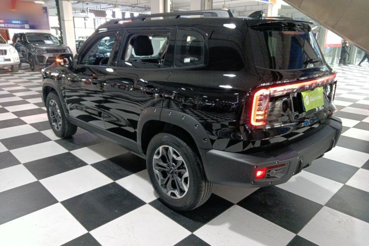 Used Haval DARGO 2024 2.0T DCT Chinese Rural Dog Edition
