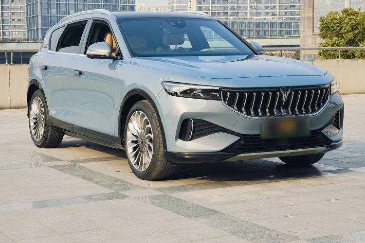 Used VOYAH FREE 2021 Four-Wheel Drive Standard Range-Extended Exclusive Luxury Package