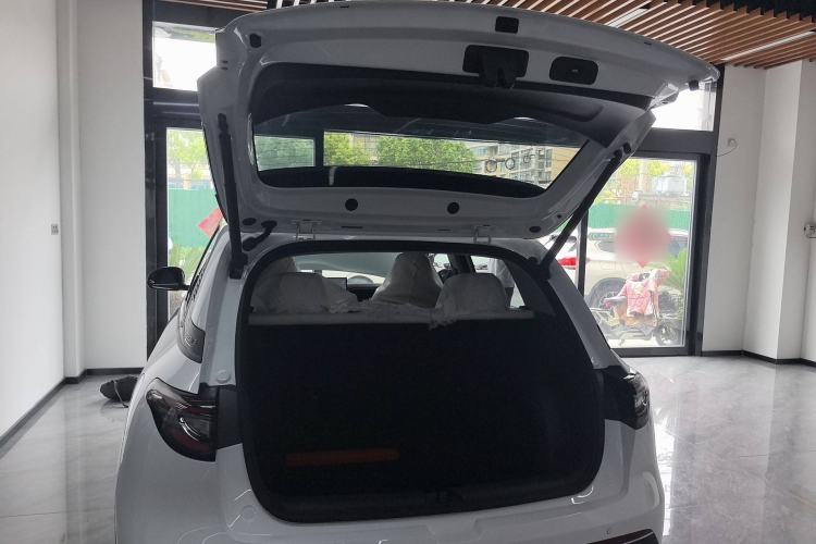 Used  Geome 2025 310km Dream Edition