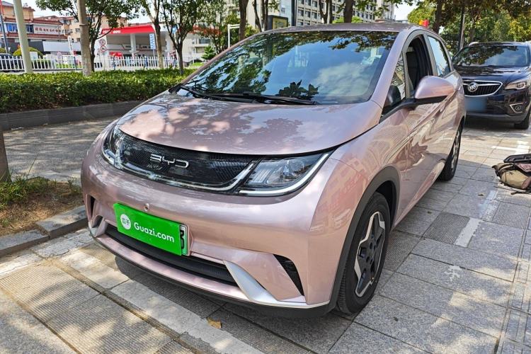 Used BYD Dolphin 2021 405 km Free Version
