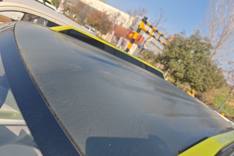 Used  Panda 2025 210km Panda Rider