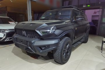 Used Brave warrior 917 2023 Pure Electric Base Model