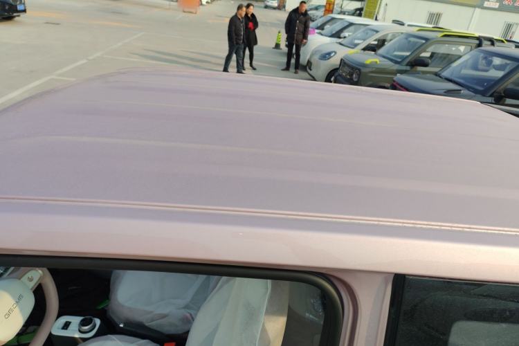 Used  Panda 2025 210 km – Yuanqi Bear
