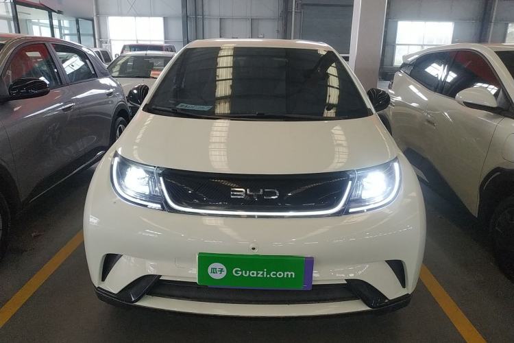 Used BYD Dolphin 2025 420km Free Edition