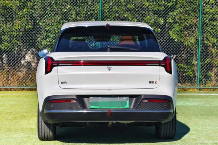 Used NETA L 2024 Extended-Range 220 PRO+ Family Package