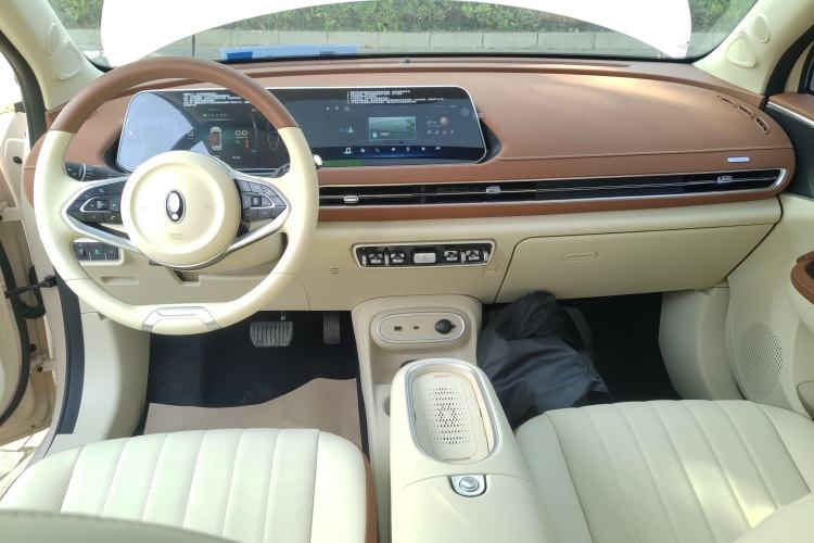 Used ORA Good Cat 2024 401 km Luxury Version
