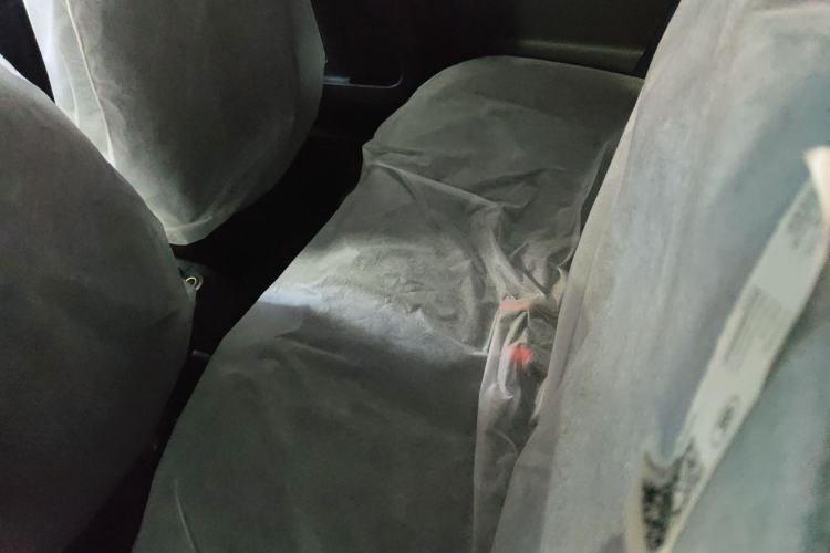 Used  Panda 2024 Panda Mini 200km Endurance Bear
