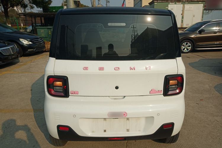 Used  Panda 2023 Panda Mini 200km Endurance Bear