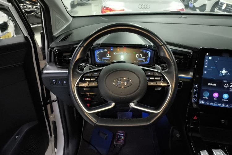 Used Hyundai Custo 2021 380TGDi Smart Love Flagship Edition TOP Premium
