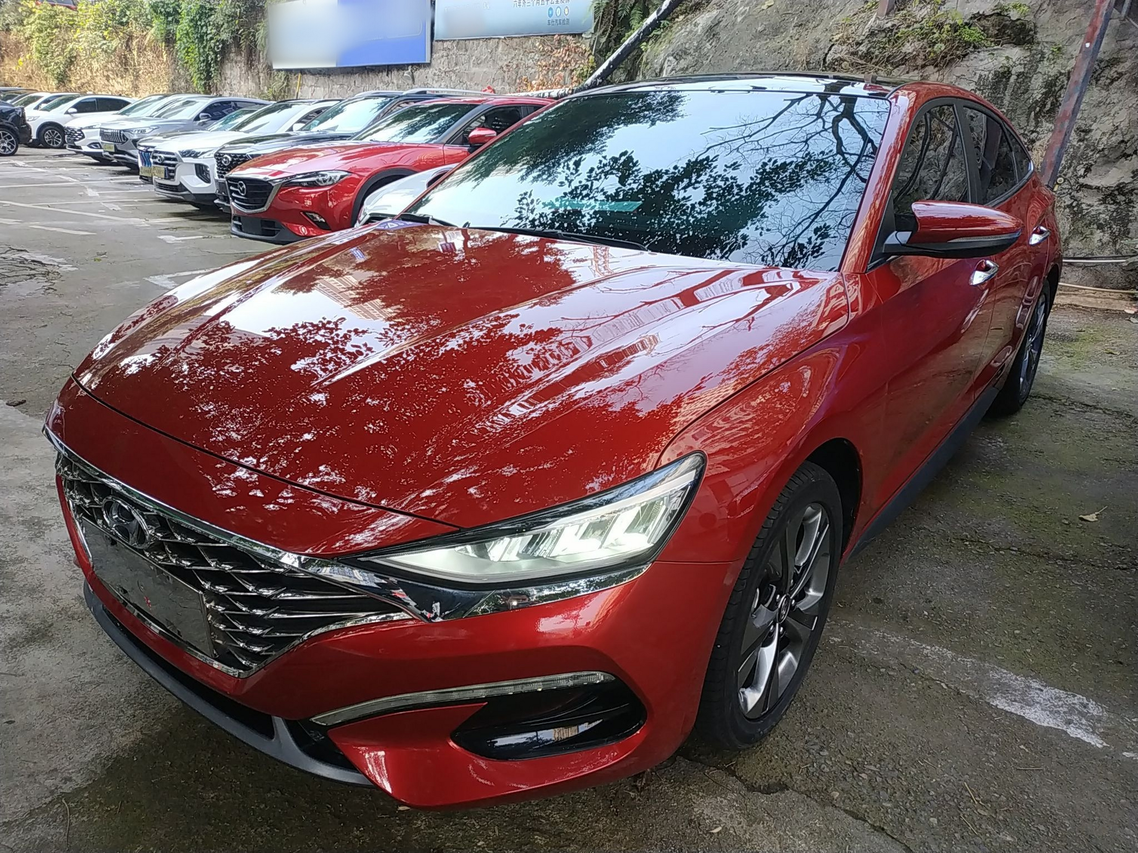 تحت مقدمة السيارة