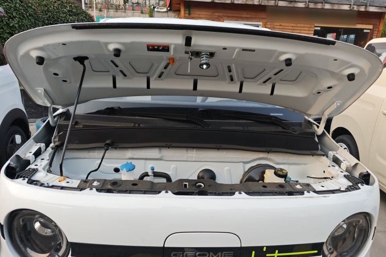 Used  Panda 2025 210 km – Yuanqi Bear
