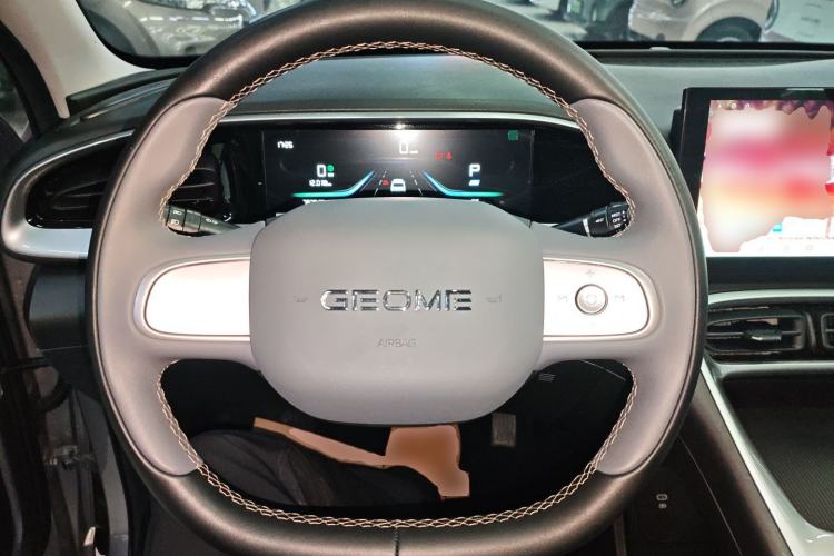 Used  Geome 2025 310km Youth Edition
