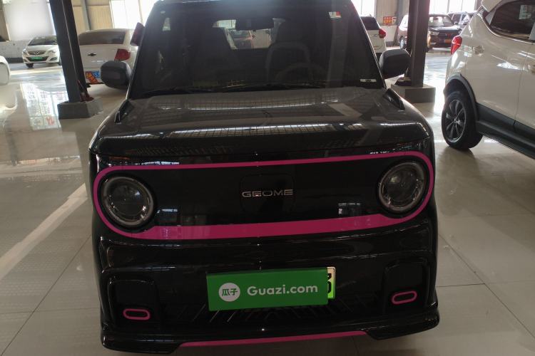 Used  Panda 2024 200km Panda Kart
