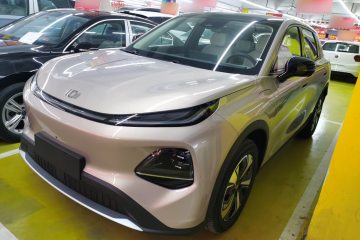 Used Qiyuan Q05 