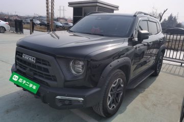 Used Haval DARGO 2024 2.0T DCT Chinese Rural Dog Edition