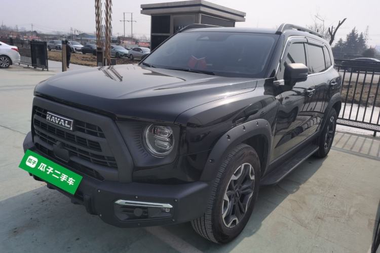 Used Haval DARGO 2024 2.0T DCT Chinese Rural Dog Edition
