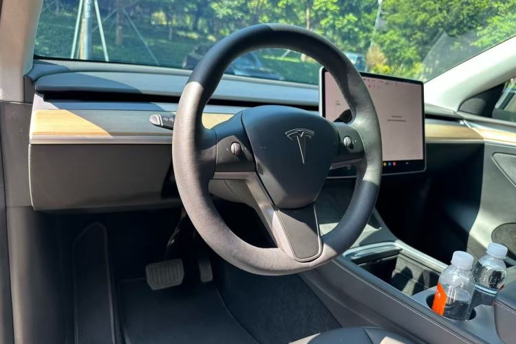 Used Tesla Model Y 2021 Standard Range Rear-Wheel Drive Version
