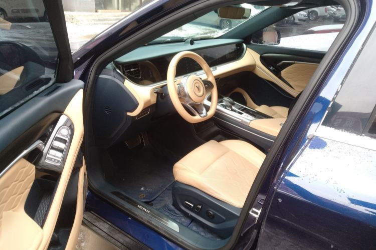 Used VOYAH FREE 2021 Four-Wheel Drive Standard Range-Extended Exclusive Luxury Package
